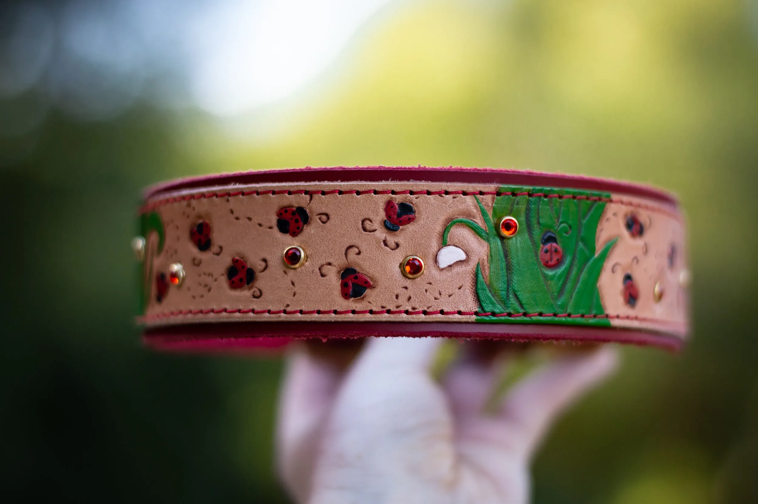 Ladybugs Leather Dog Collar