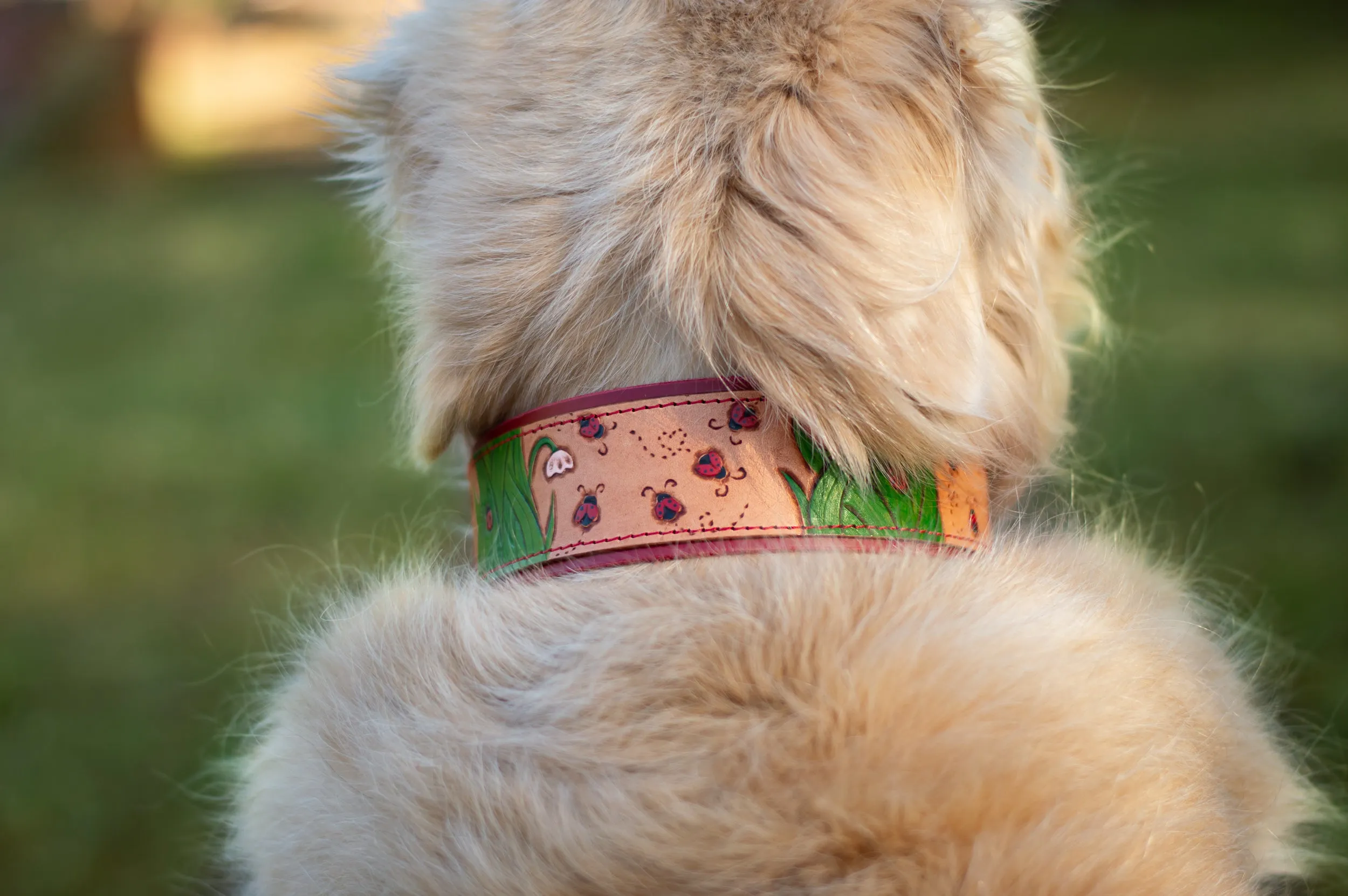 Ladybugs Leather Dog Collar