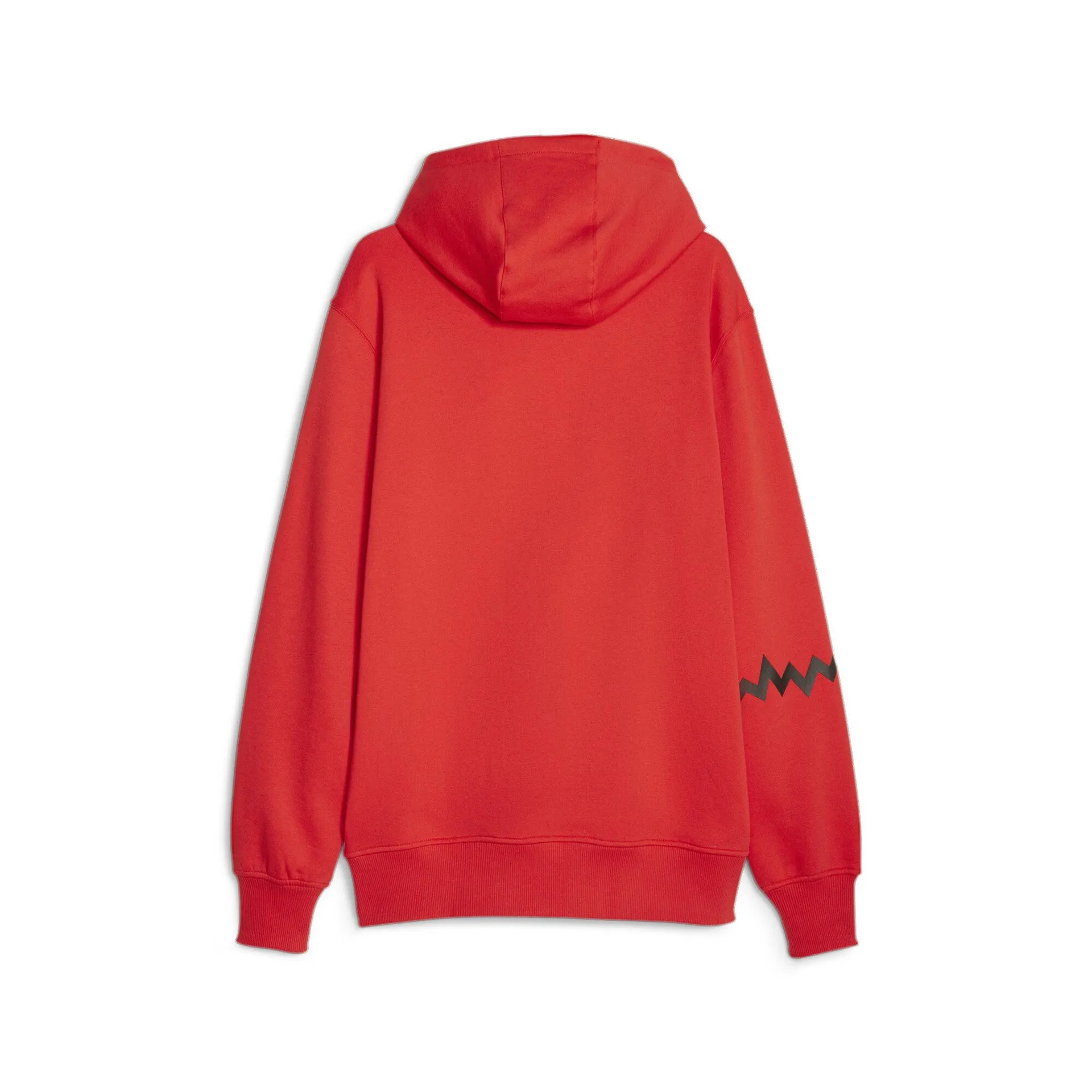 PUMA Hoops Team Hoodie