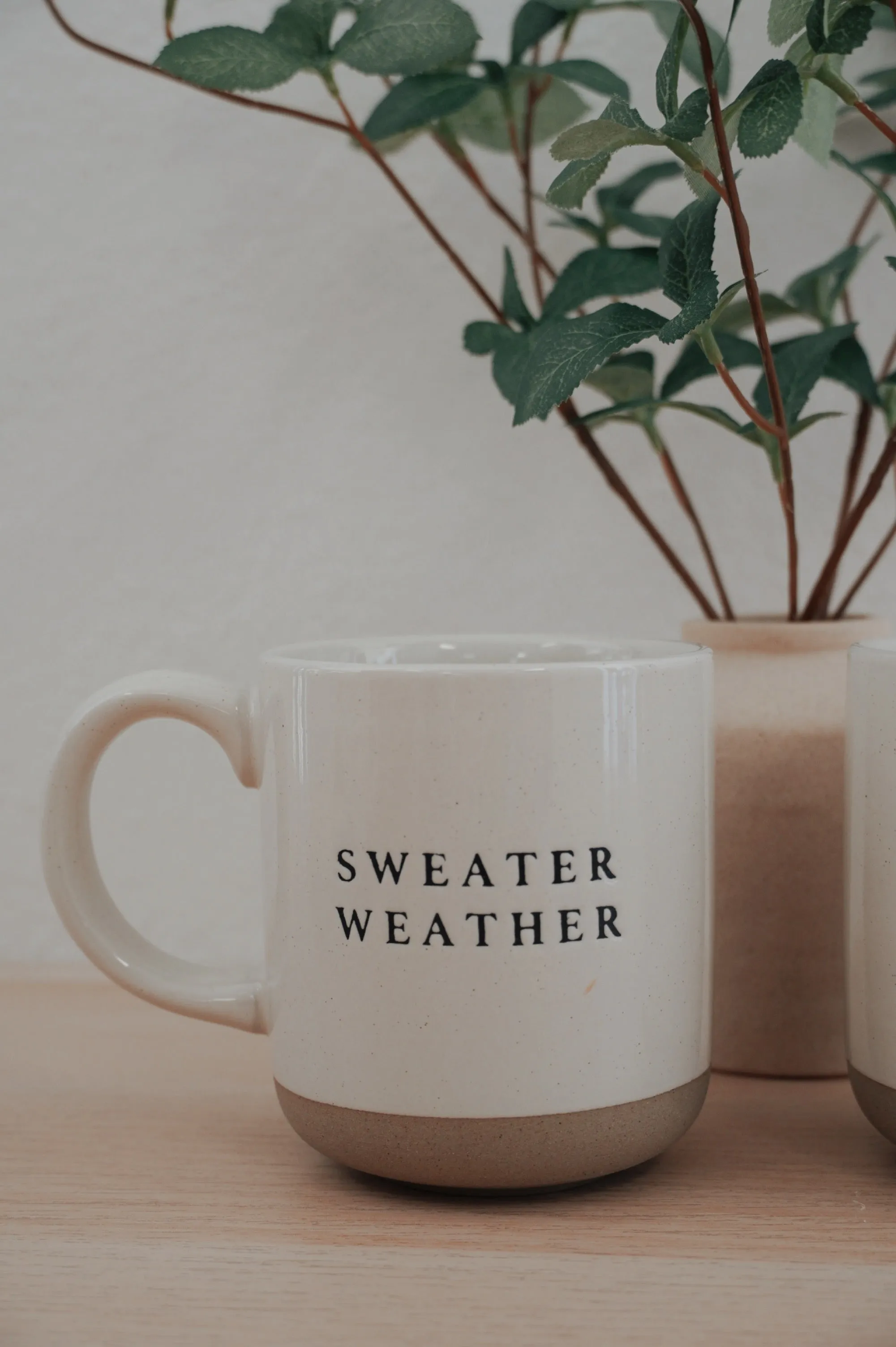 Sweater Weather Mug